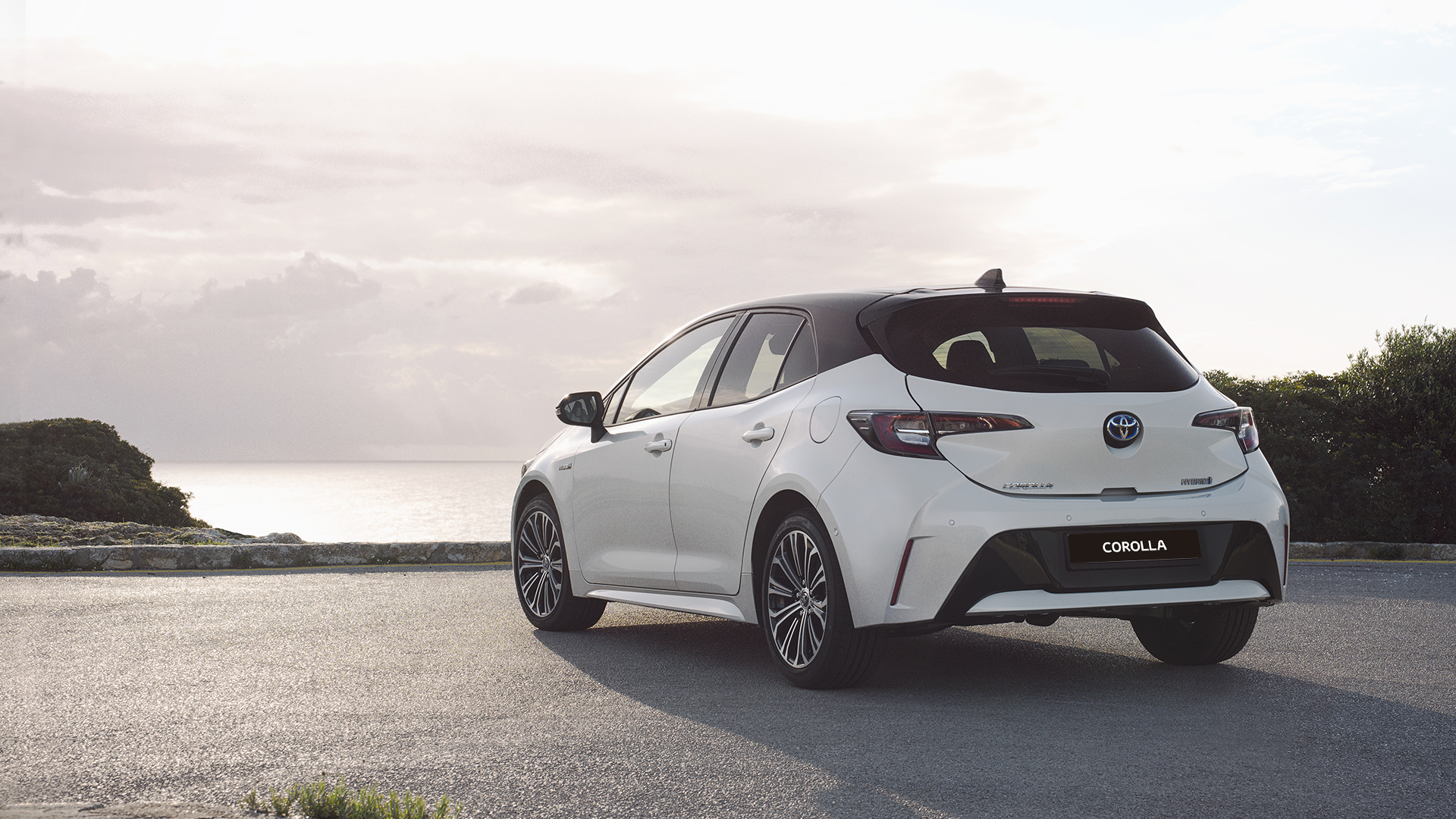 Corolla