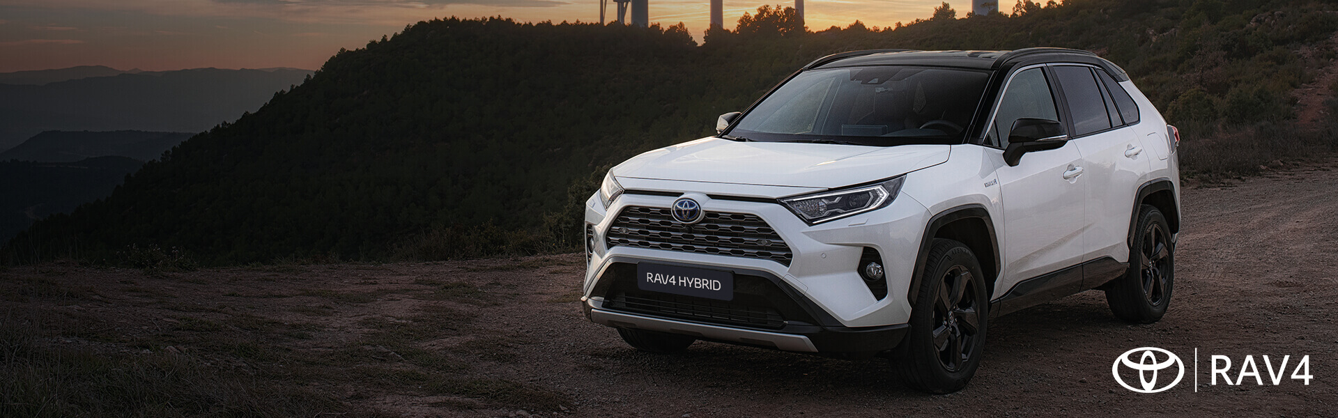 RAV4 Hybrid
