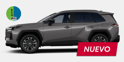 RAV4 Hybrid