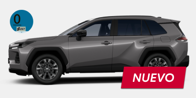 RAV4 Plug In