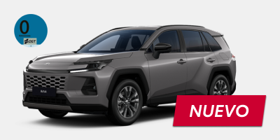 RAV4 Plug In