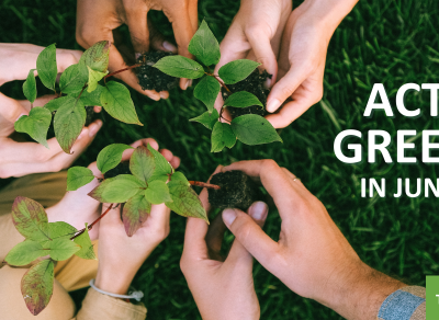 Green Month: Toyota celebra el mes del medioambiente