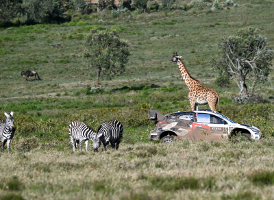 Rallye-Safari-Kenia