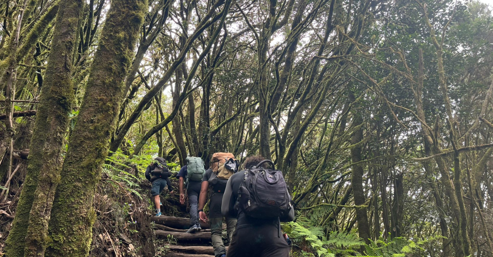 La Gomera regala a Contramapas tres días de ensueño antes de viajar a La Palma