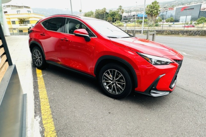0484LXV