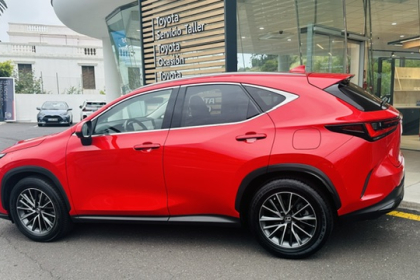0484LXV
